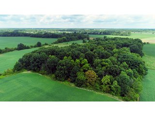 Dekalb County, Indiana Farmland - FARM AUCTION - 4 BEDROOM HOME, BUILDINGS, 70+/- ACRES OFFERED IN 5 TRACTS IN DEKALB COUNTY, INDIANA